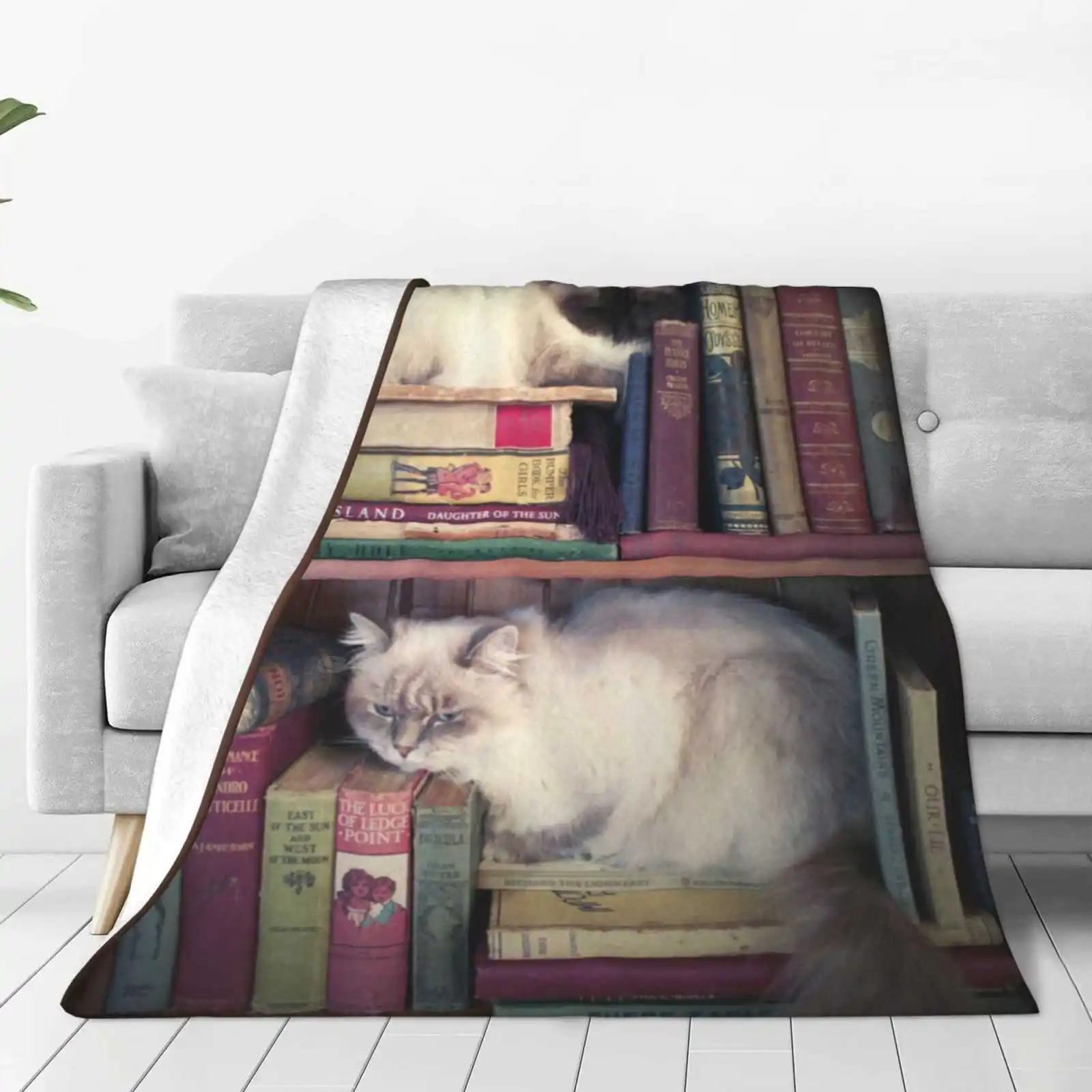 Library Cats Soft Warm Throw Blanket Cats Books Antique Vintage Library Shabby Chic Birman Ragdoll Himilayan Sarah Dracula