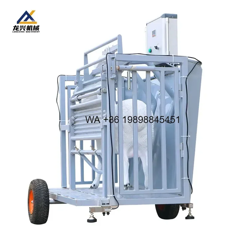 Wmwmnu Flipable Sheep Restraint Crate Multifunctional Fixed Frame for Hoof Trimming Inspection