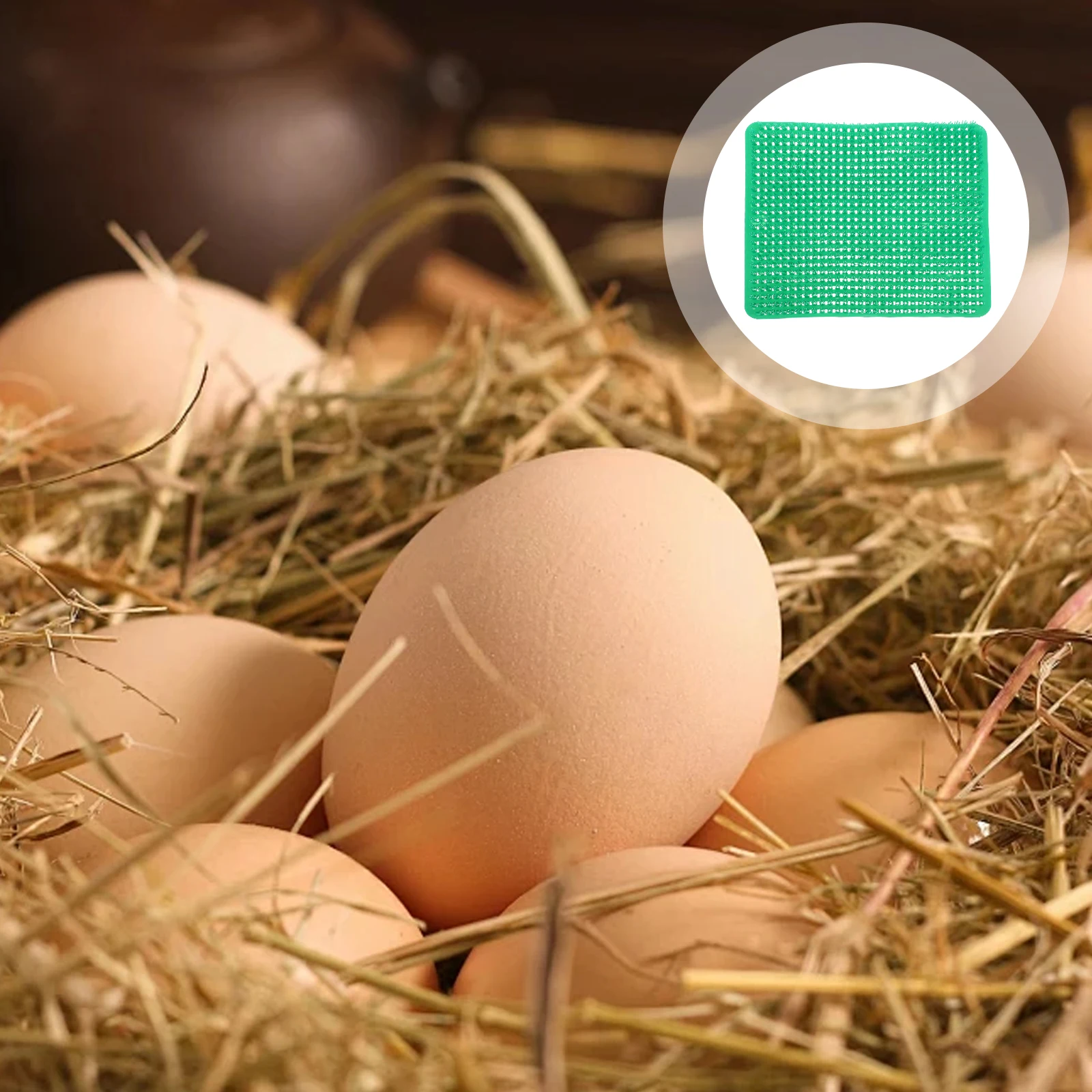 

2Pcs Egg Nesting Pads for Chicken Nesting Pads For Laying Eggs Laying Eggs Box Cage Mats Chicken Accessories PP Reusable Coop