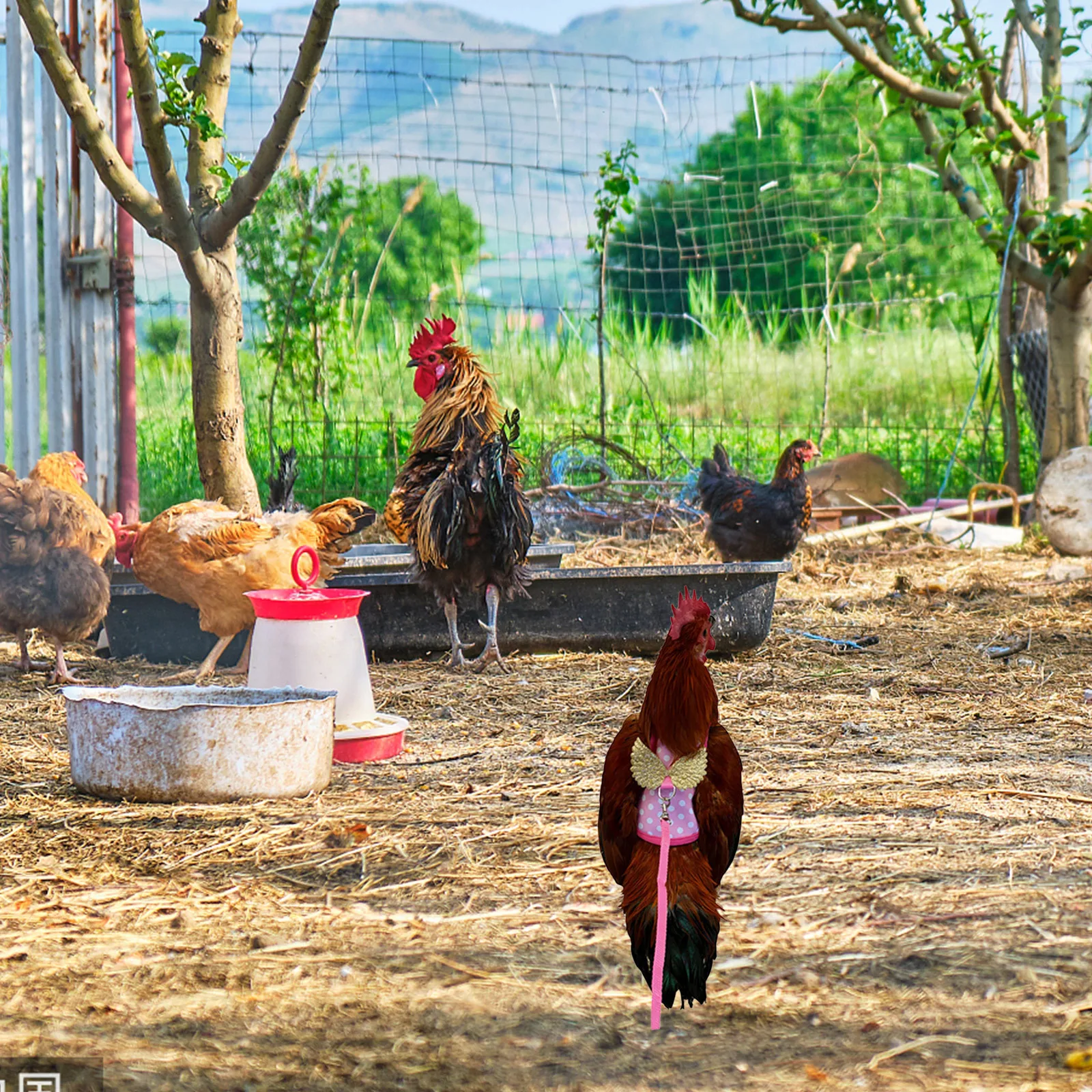 

Wear-Resistant Chicken Vest Durable Harness Adorable Accessory for Pet Chicken Walking Suitable Most Outdoor Activities