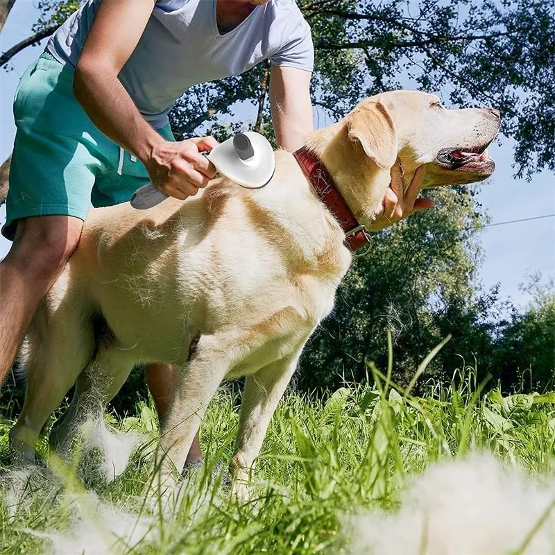 Hund Pinsel Katze Kamm Haustier Selbst Reinigende Haarentferner Pinsel Für Hunde Katzen Welpen Kätzchen Pflege Werkzeuge Hund Dematting Kamm – Detail 6