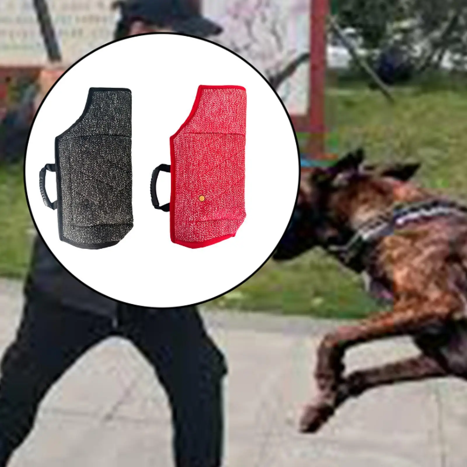 

MANAGA of THE TRAINING ARM of PROTECTION GEAR Dogs, MANGE of PUBSIBLE Dog Training,