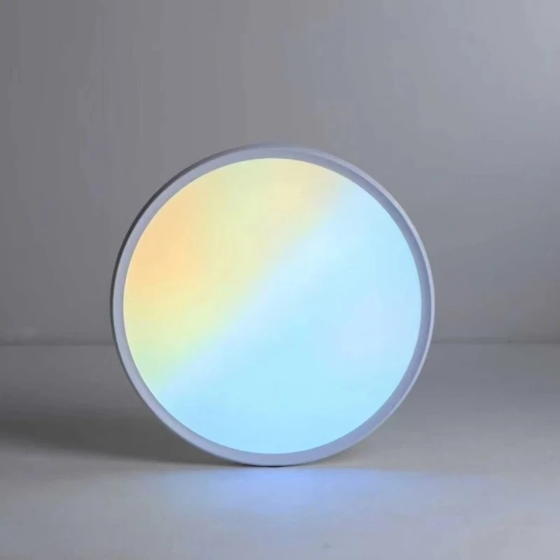 RGB Colorful Ceiling Light with Remote Control Dimming Color Adjustment  Living Room Lighting LED Indoor Atmosphere Light
