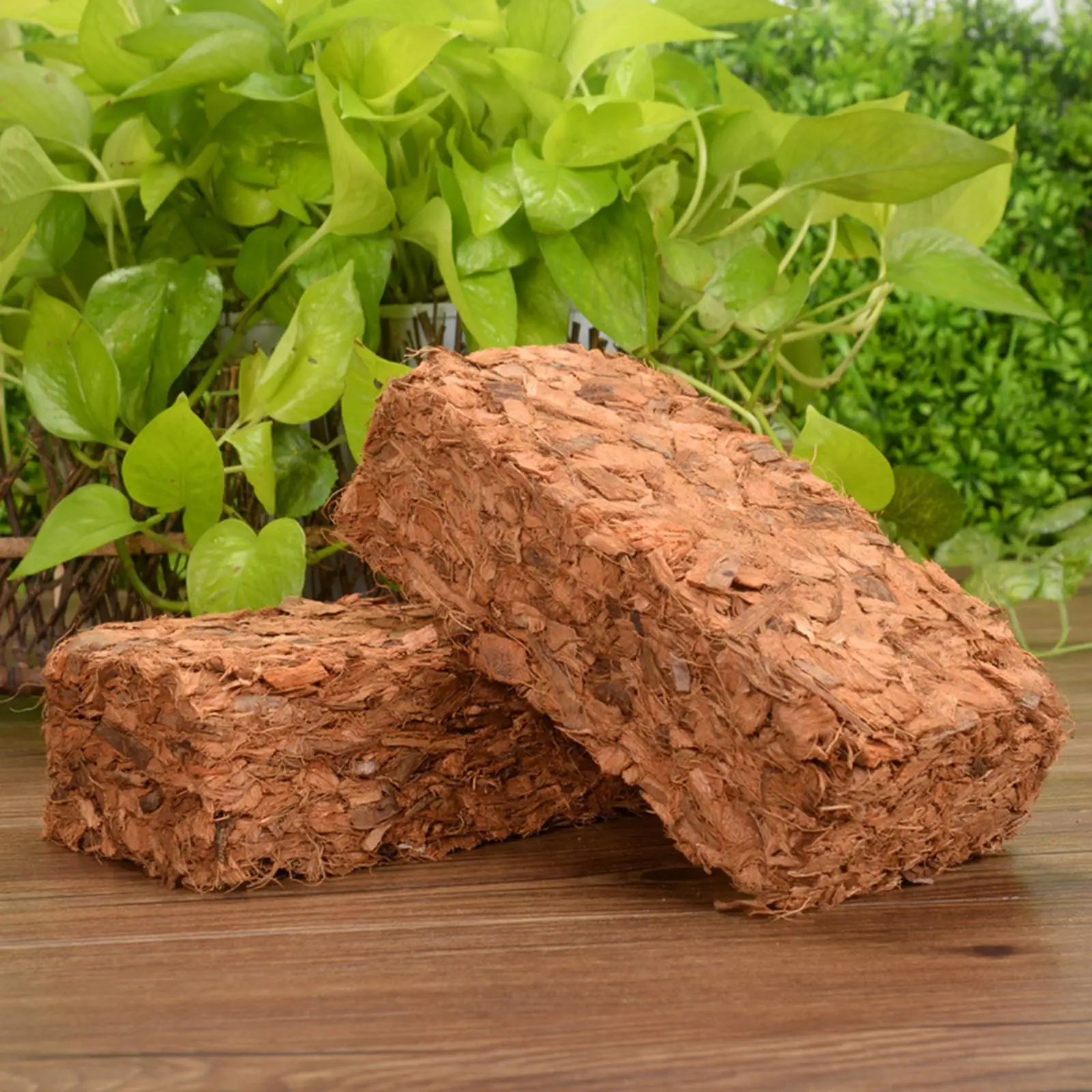 Premium Organic Coco Coir Brick Growing Potting Soil Coconut Shell Brick