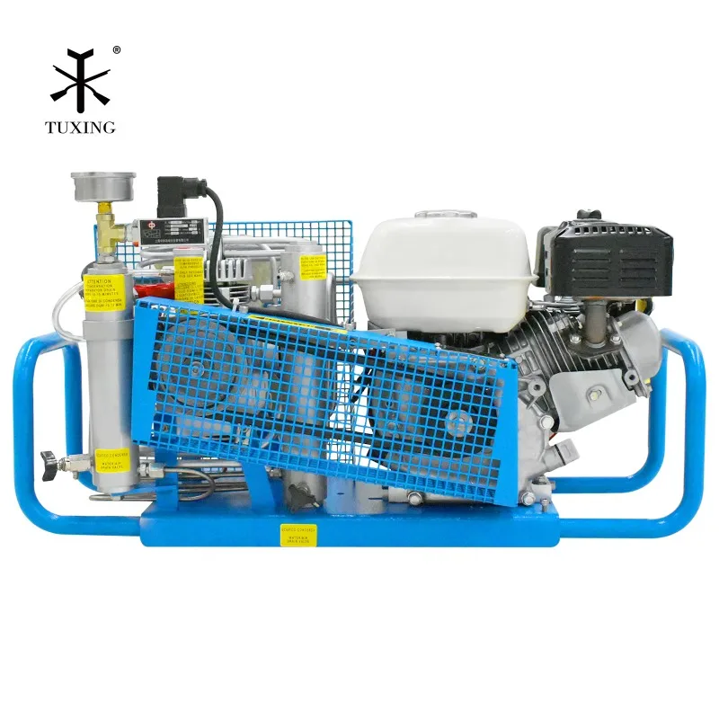 OEM 3.5CFM 100LPM High Pressure 4500psi 300bar GAS Water Sport Portable PCP Breathing Scuba Diving Air Compressor