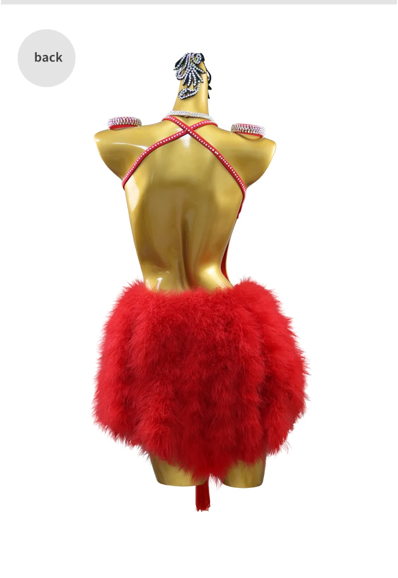 2026 Mädchen Sport-Tanzkostüm Latein-Federkleid Damenrock Party-Ballkleidung Samba Fransen-Kostüm Abschlussball-Tanzkleidung – Detail 10