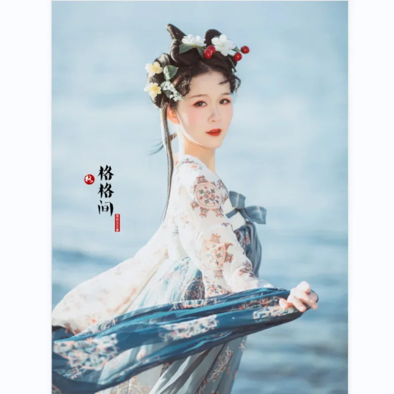 Vêtements traditionnels chinois Hanfu pour femmes, jupe imprimée de la dynastie Tang Pibo, accessoires de olympiques de danse InjRibbon, 6 couleurs