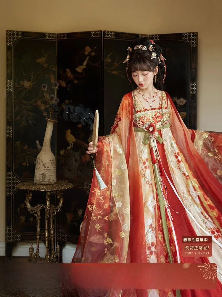 

Платье-халат с вышивкой в стиле Тан: «Тринадцать излишков», «Маленькие красные ростки бобов», «Огненное дерево», «Серебряный цветок», вышивка с вырезами на топе.