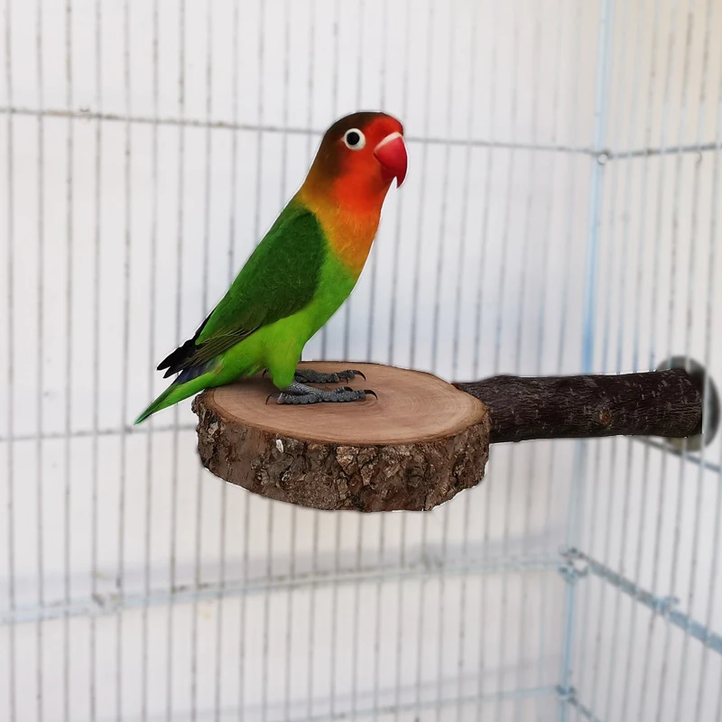 Natürliche Apfelbaum Holz Haustier Papagei Ständer Rohholz Ast Unterstützung Rack Eichhörnchen Vogel Hamster Zweig Sitzstangen Kauen Biss Spielzeug
