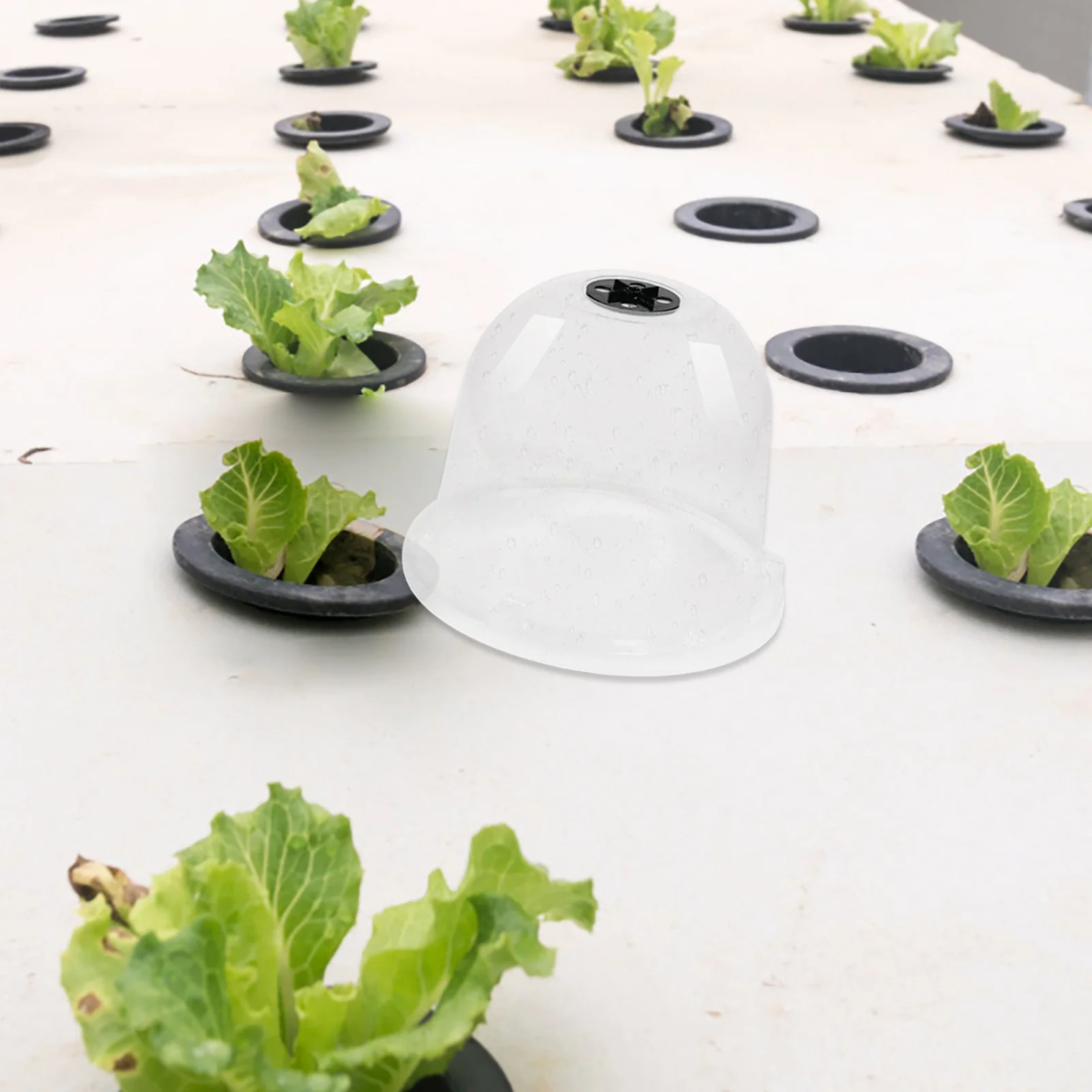 

4pcs Reusable Garden Dome Plant Protection Cover Transparent For Seedling Heat Retention Moisture Control Frost Shield