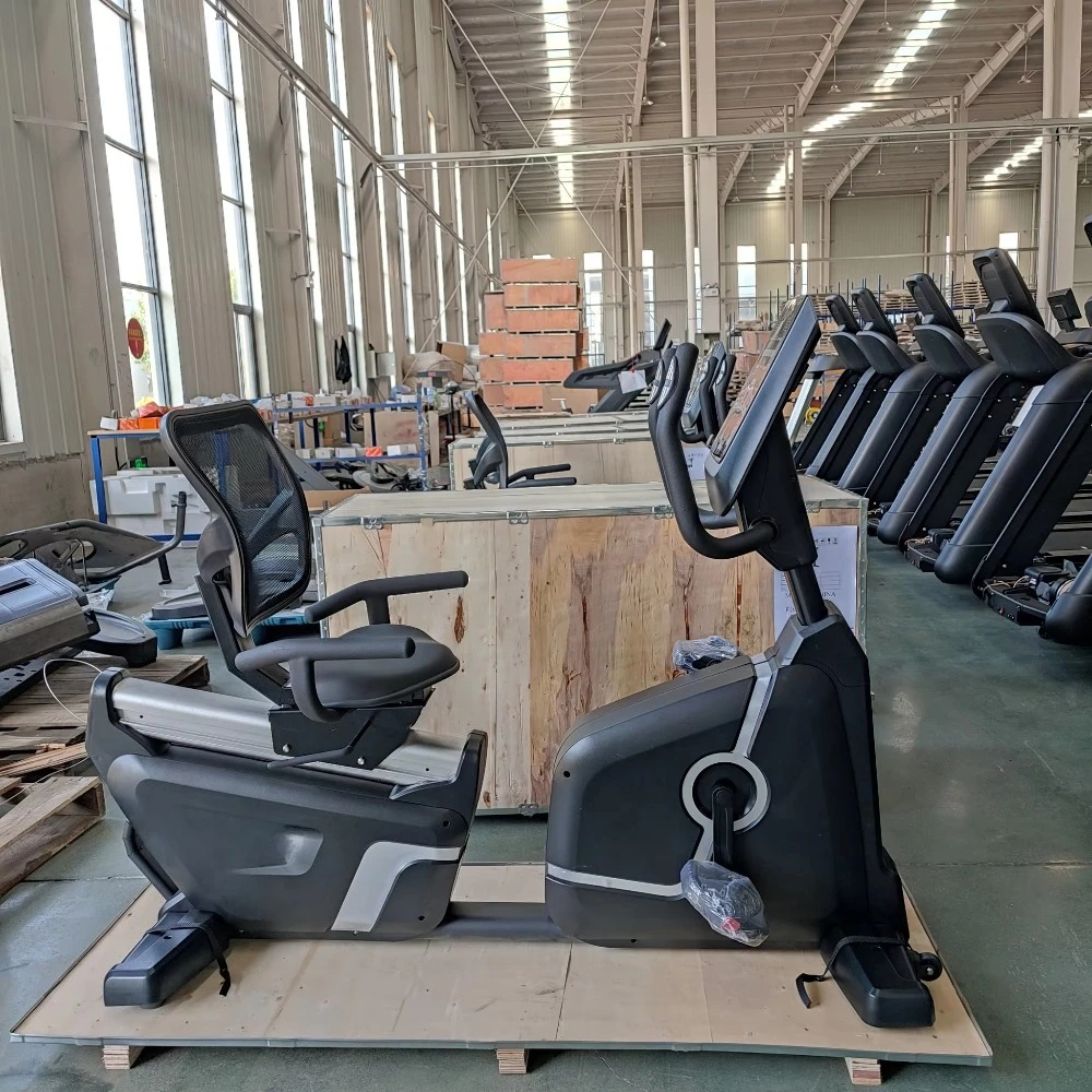 Professional Seated Recumbent Exercise Bike for Elderly