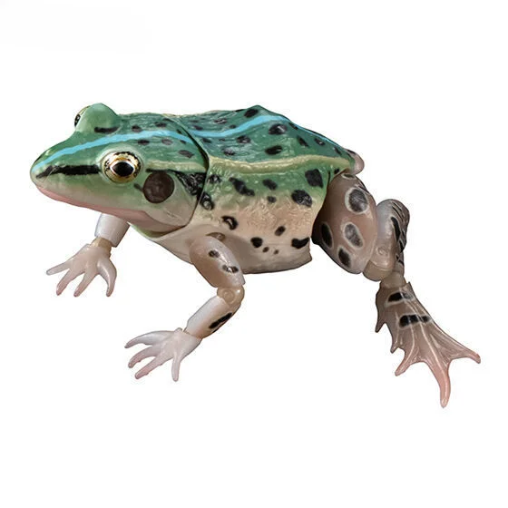 BANDA Biological Encyclopedia Figures Model Black spotted side folded frog frog Simulated animals Gashapon Original toys