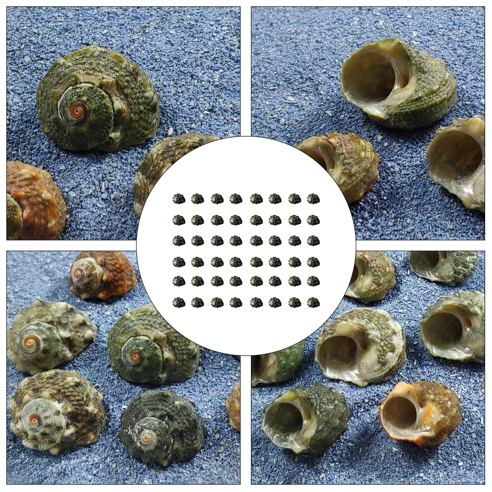 

100pcs Diy Conch Aquarium Decor Fish Tank Accessories Natural Micro Landscape Creative Craft Decorative Props For Miniature