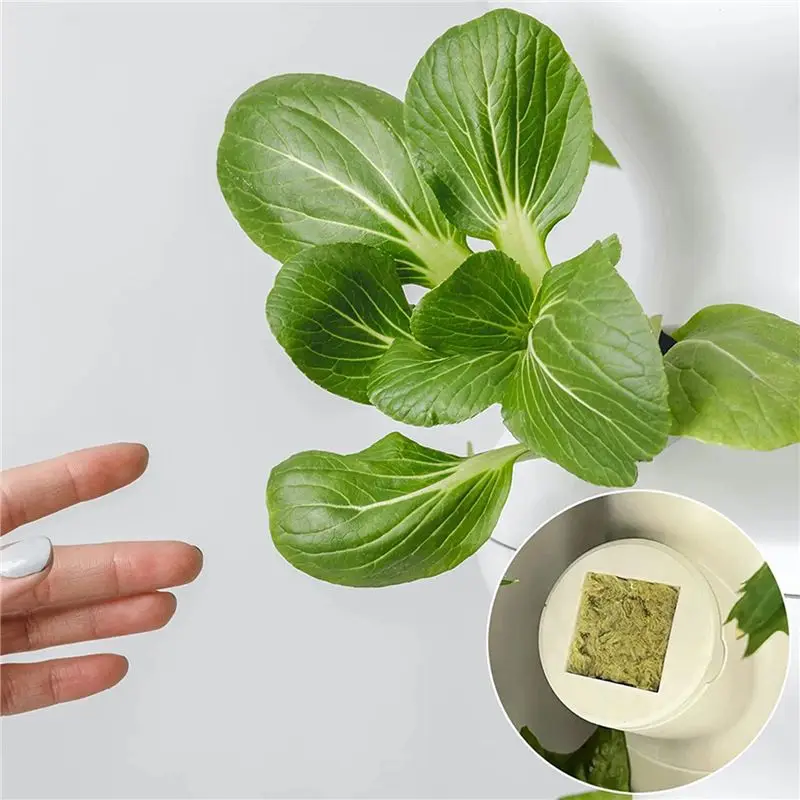 AT19-50Pcs Stonewool Hydroponic Grow Media Starter Cubes Plant Cubes Soilless Substrate Seeded Rock Wool Plug Seedling Block