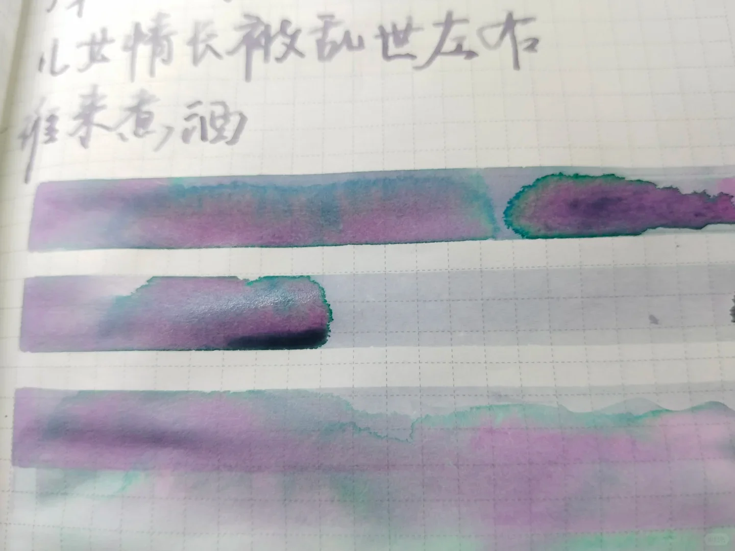 Fanyantan Ink, Longing for Longevity, Pen Shading  Ink 20ml
