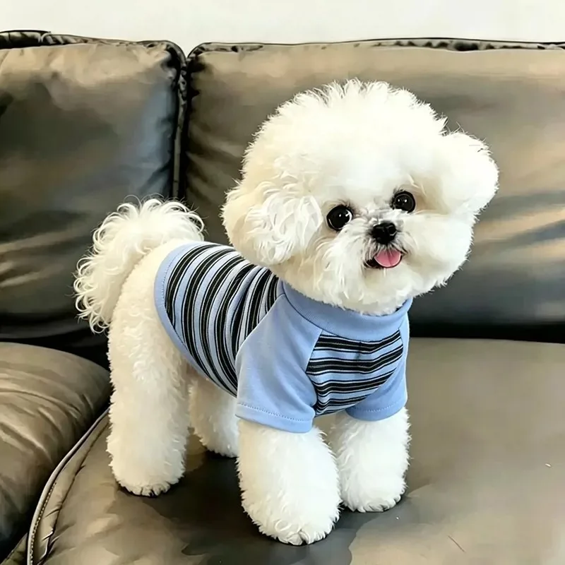 Round Neck Striped Dog Bottoming shirt - Soft Winter Pullover & Vest for Small Dogs like Bichon Frise & Teddy