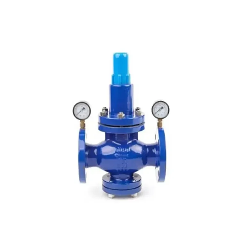 Adjustable PN16 Cast Iron Ductile Iron Control Valve Normal Flange Ends Manual Power Pressure Relief for Water Oil-OEM
