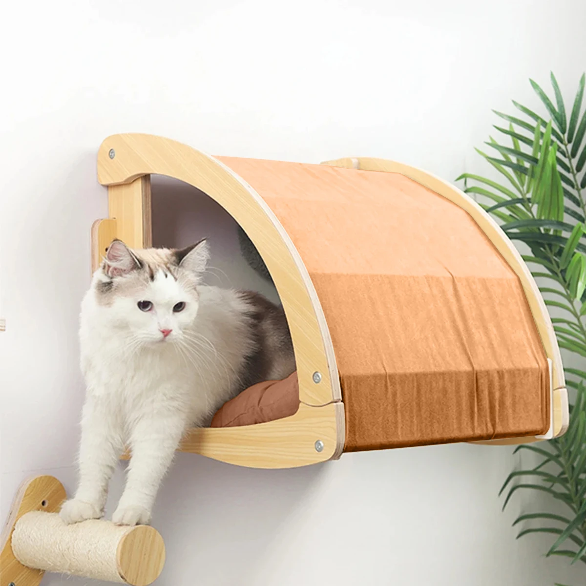 Imagem -02 - Madeira Cat Wall Mounted House Rede com Escada de Escalada e Coçar Post Gatinho Brincando e Dormindo Peça