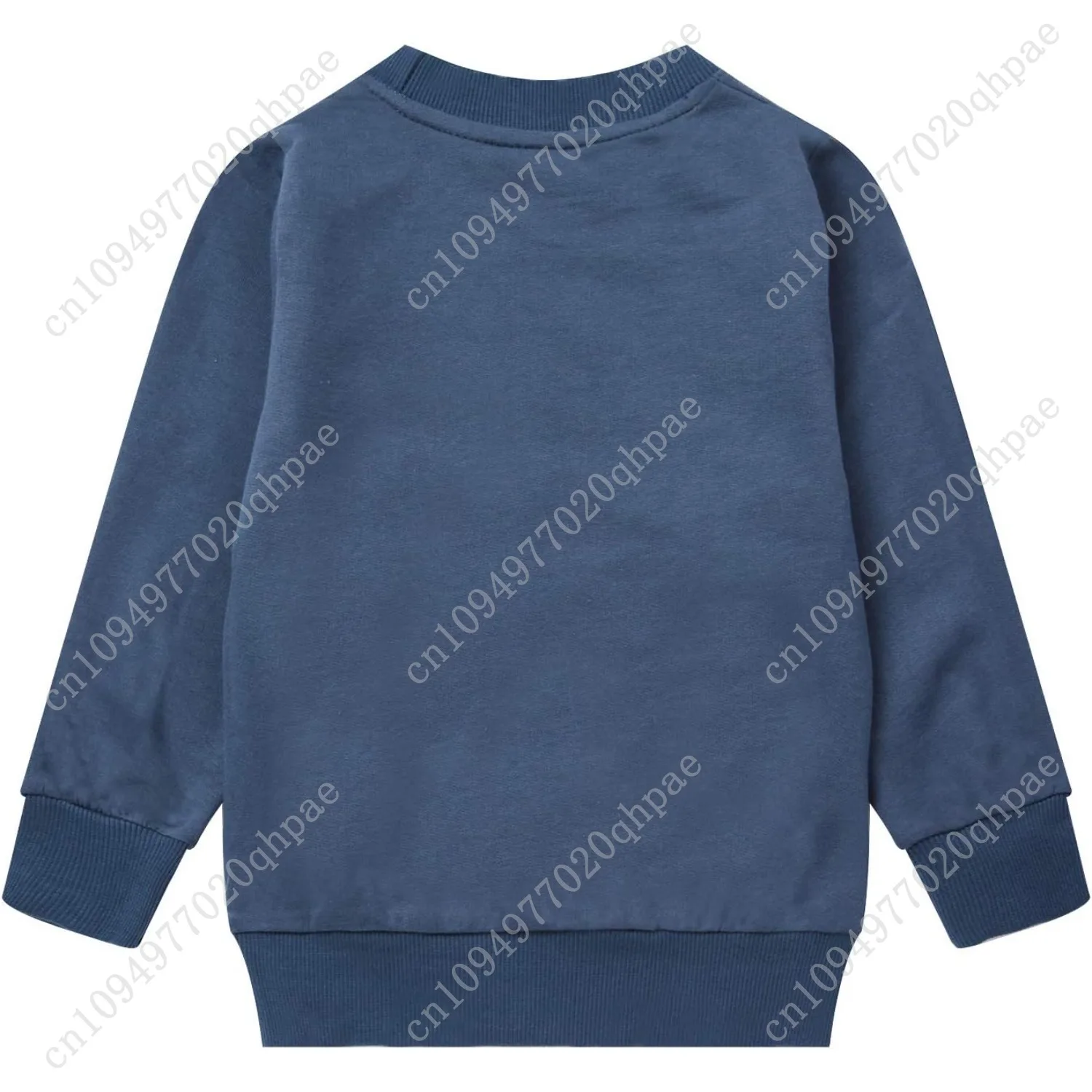 Рисунок 2 - Кофты с динозавром Akyzic для мальчиков