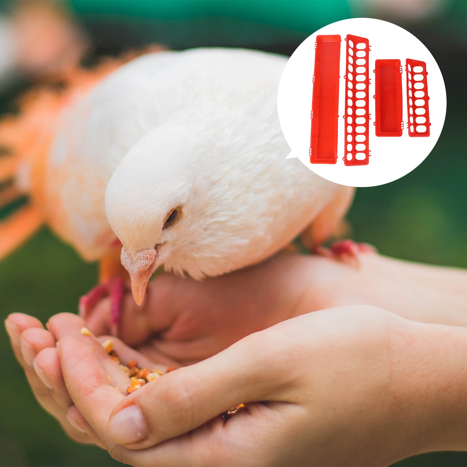 

2pcs Thicken Durable Pigeon Feeders Bird Water Cups Anti-Splash Polyethylene Cage Feeders Food Bowls For Birds Feeding Trough