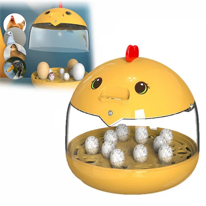 Mini automatic incubators, children's automatic incubators, chicken and bird egg incubators for poultry farming