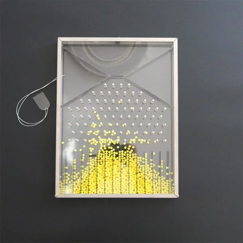 Physics school laboratory supplies Galton and Dalton board demonstration laboratory teaching equipment