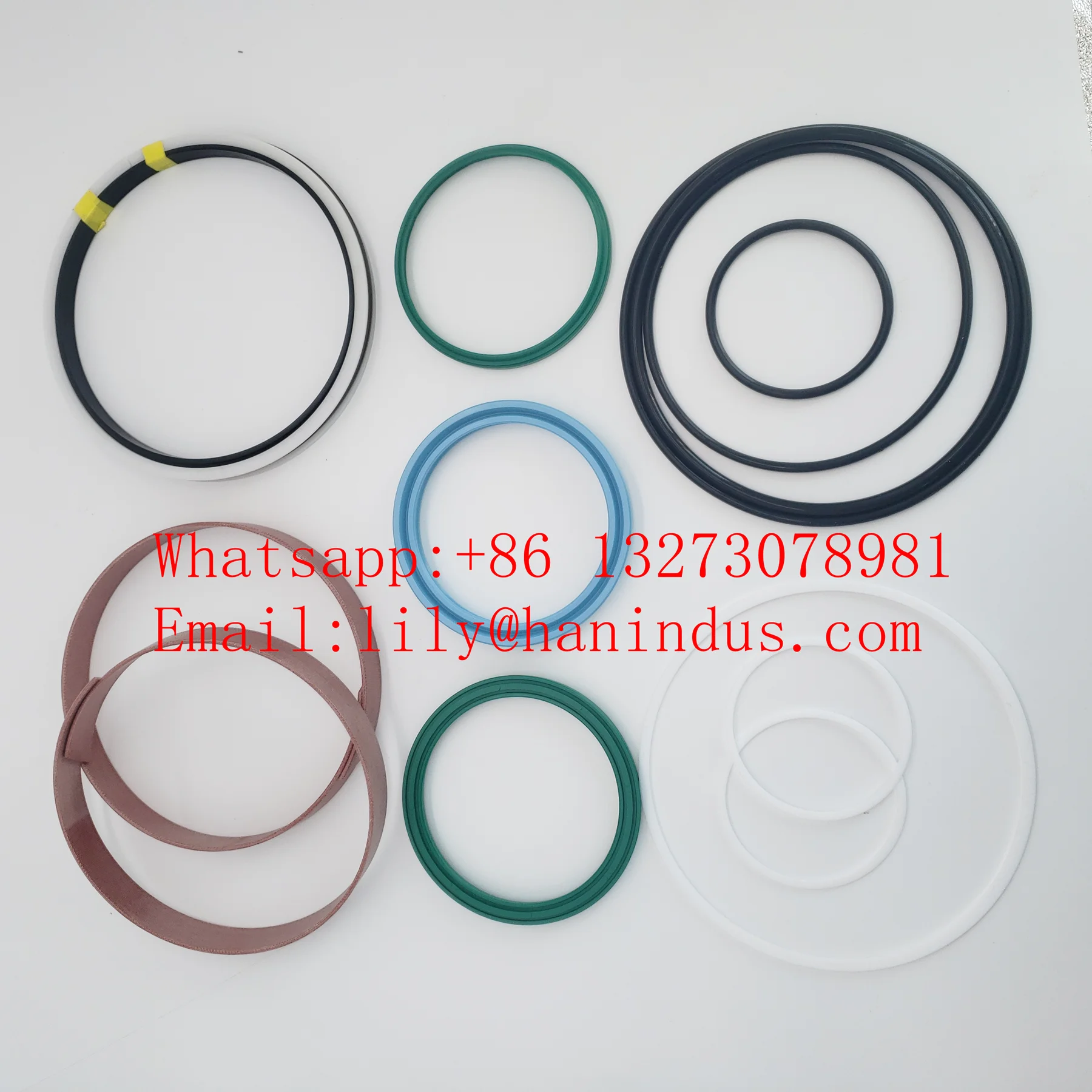 Zoomlion hydraulic seal kits  140/220  OEM 001600001A0000251