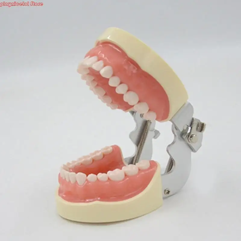 E8BA AMOVIBLE DÉTES DÉTRES AVEC