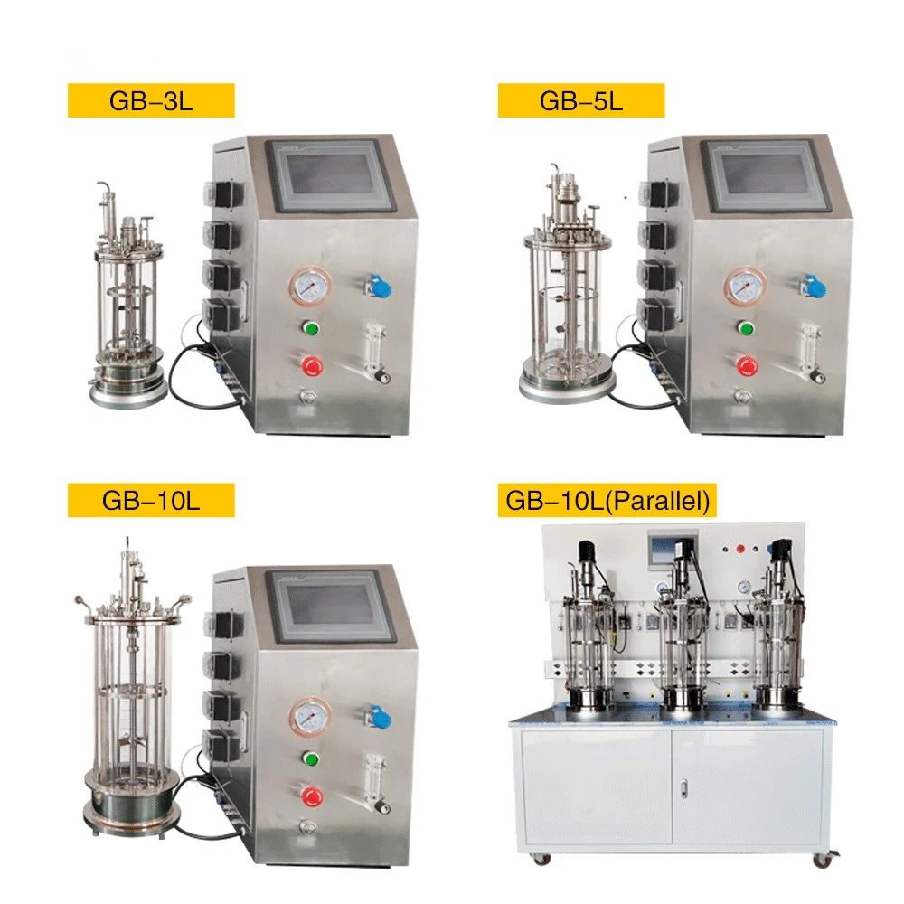 Lanphan Piccola Camera 1L 2L 3L 5L 7L Fermentatore Bioreattore Enzima a Stato Solido Spirulina Bioreattore Industriale