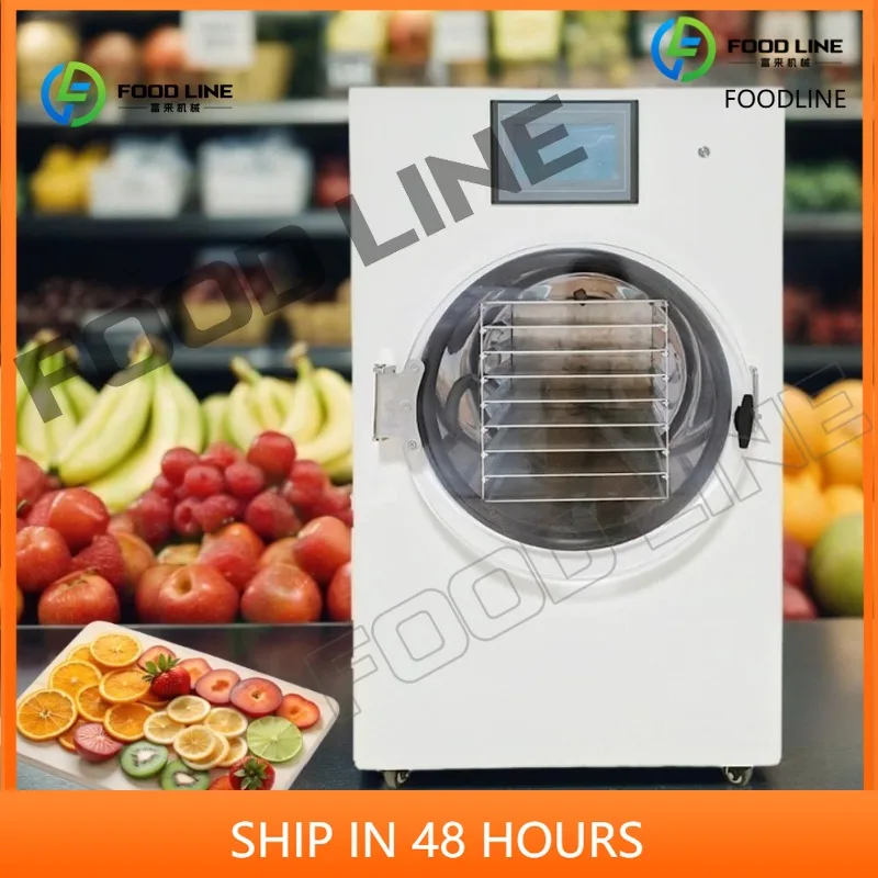 Customized Stainless Steel Freeze Dryer Machine for Household Use with Rapid Freezing and Long Term Food Storage