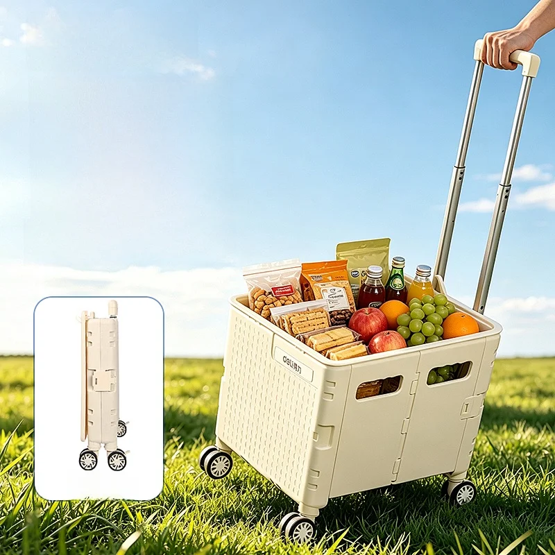 carrello-della-spesa-portatile-a-trazione-manuale-pieghevole-con-corpo-in-plastica-ideale-per-campeggio-e-acquisto-di-verdure-capacita-massima-35-kg
