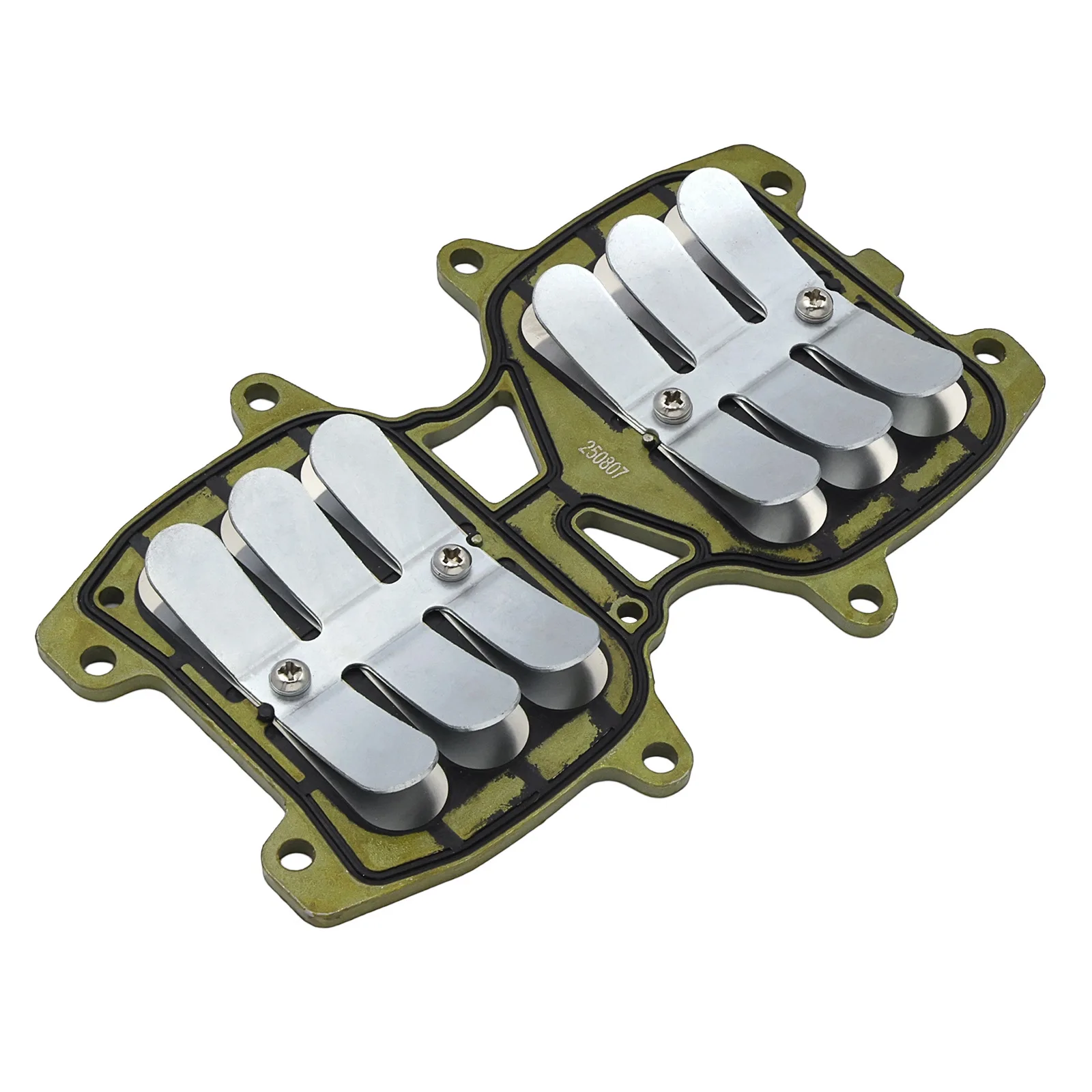 Intake Valve Assembly, Outboard Motor Replacement Parts Compatible with Outboard Engine