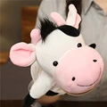 Dairy cow