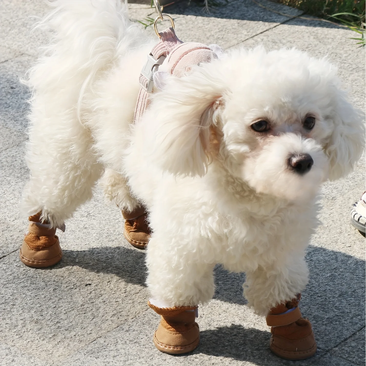 

Dog Shoes for Dogs, Breathable Dog Boots & Paw Protectors for Hot Pavement Summer Winter Snow, 360° Anti-Slip Dog Booties