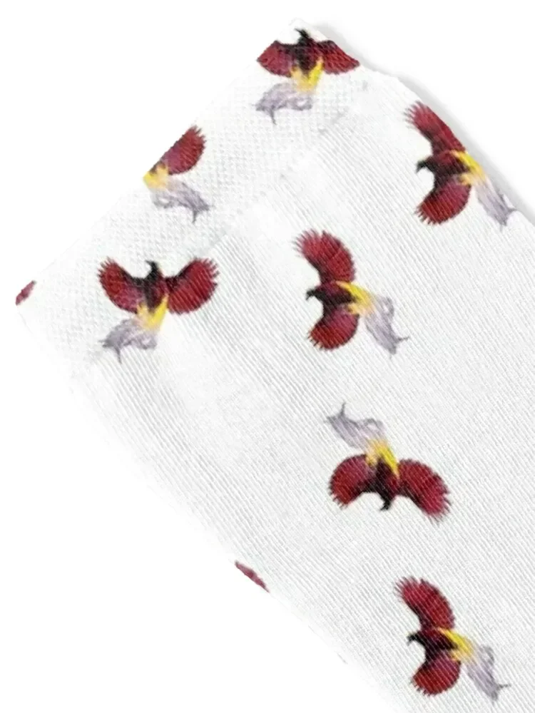 Papua New Guinea Special Red Bird of Paradise Designs and Prints Socks cool valentine gift ideas hockey Socks For Man Women's