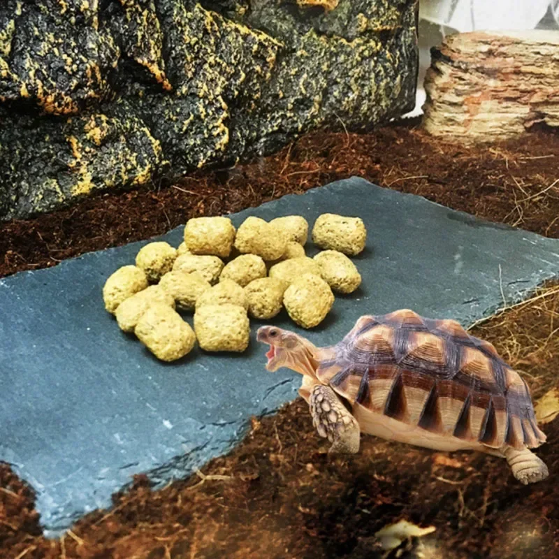 Thumbnail 2 - #41 Compare Reptile Water Bowls Before You Buy