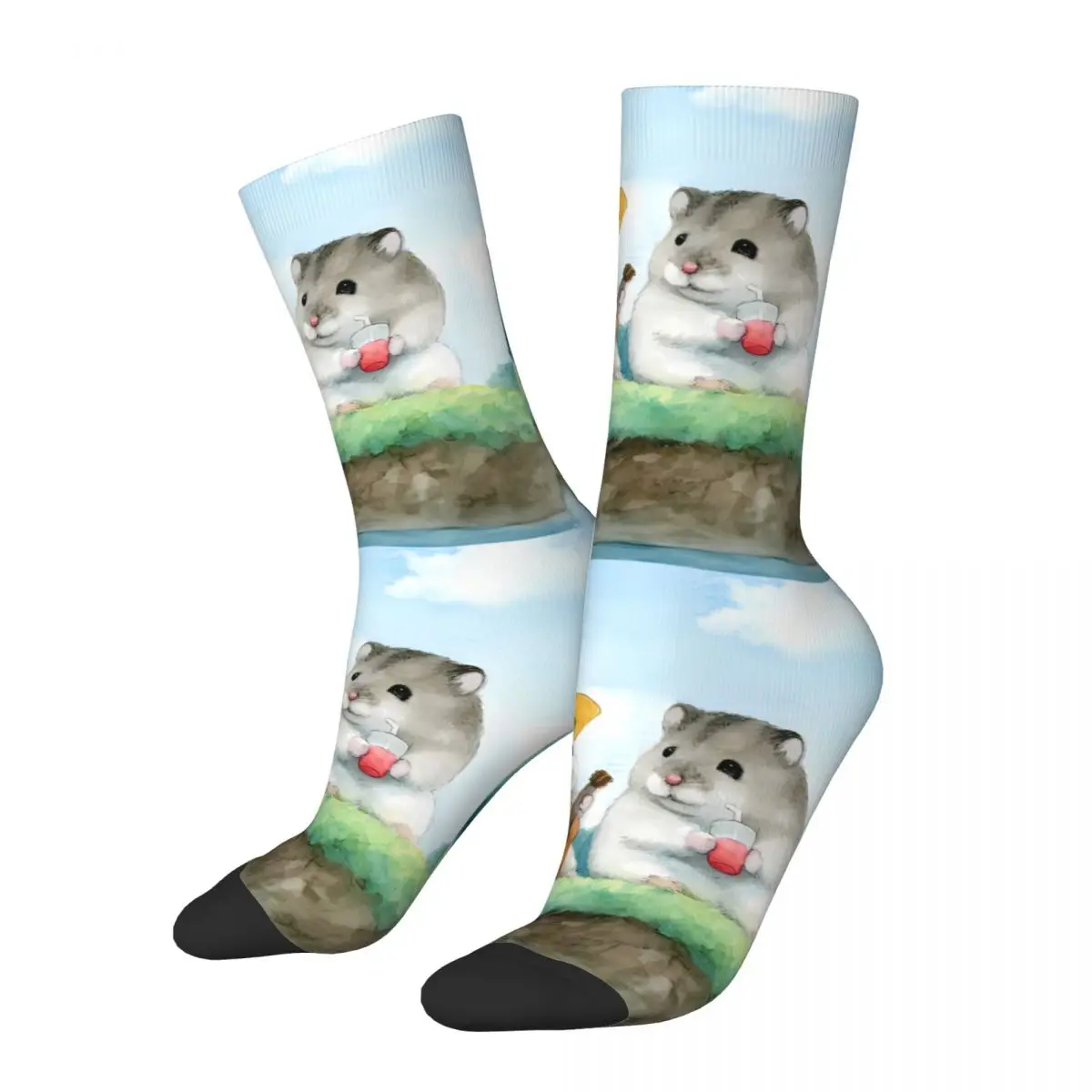 Hamster Sock Printed Man Polyester