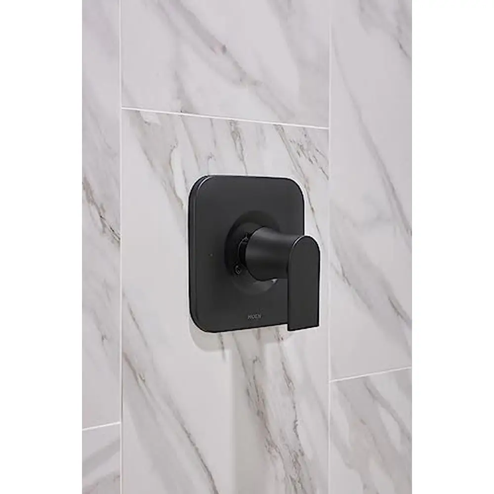 Eco-Performance Genta LX Matte Black Shower Head Valve Required