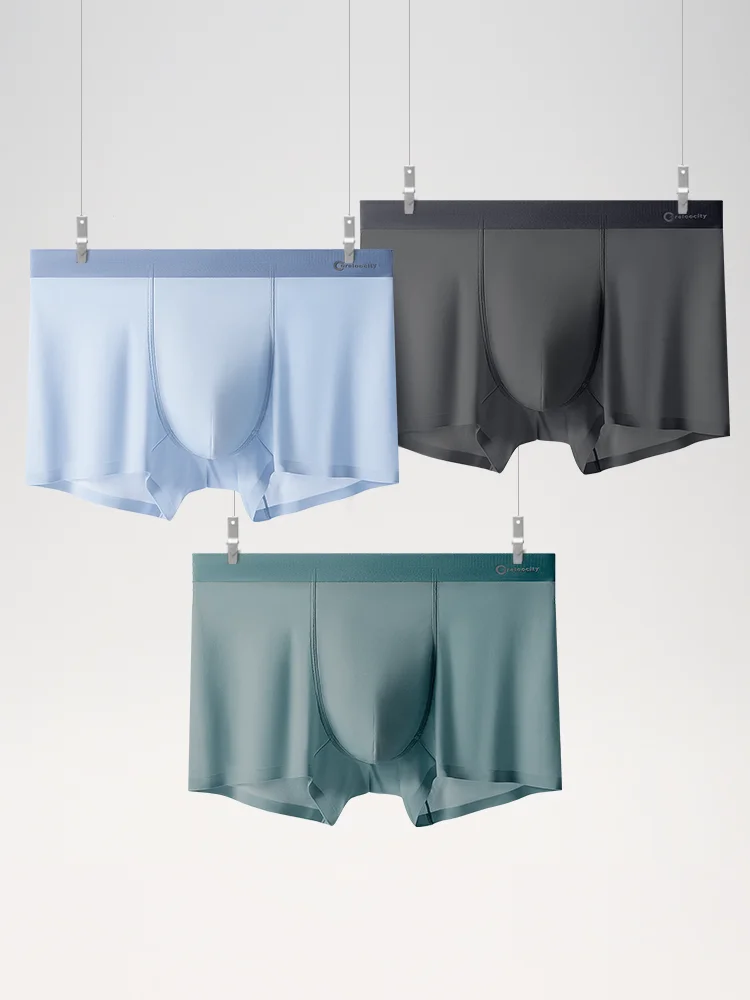 Mutandine da uomo intimo Sexy senza cuciture in seta di ghiaccio da uomo pantaloncini Boxer traspiranti ultrasottili solidi mutande maschili Boxer