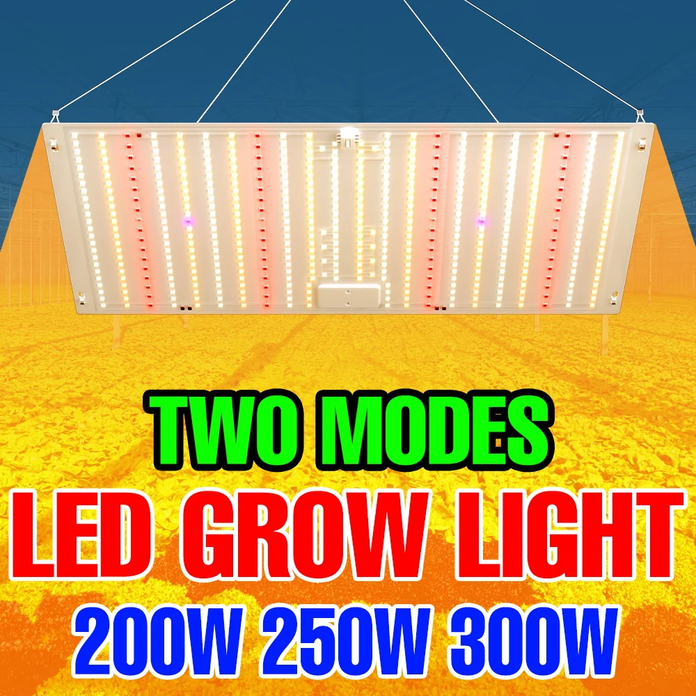 

Светодиодная лампа для растений 300 Вт, полный спектр, квантовая панель, УФ-подсветка для овощей, растений, цветов, фруктов, мха, для выращивания в гроубоксе