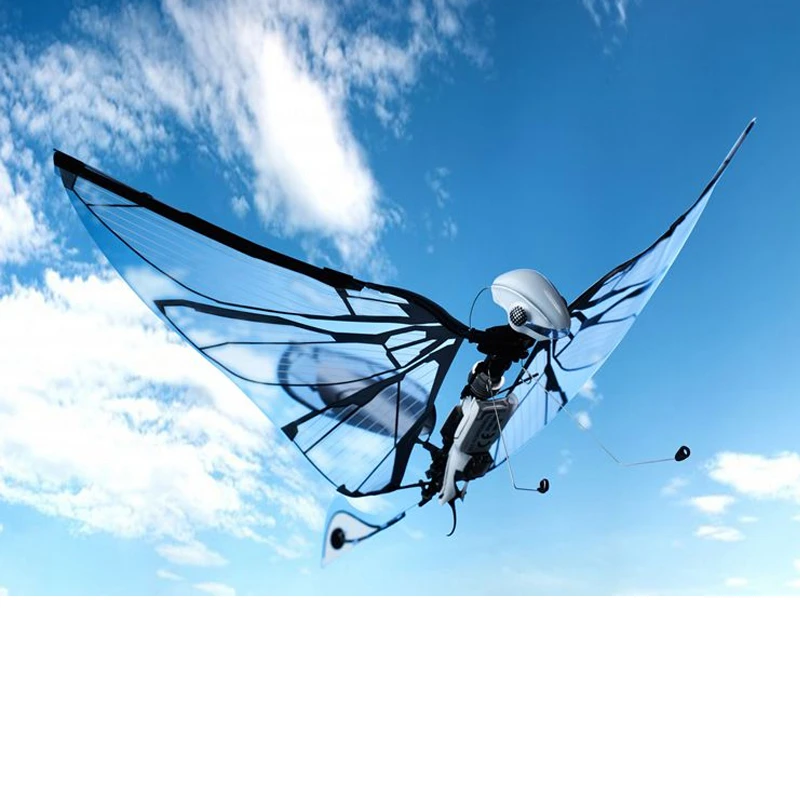 Bionic bird intelligent flying insect giocattolo telecomandato elettrico piccolo veicolo aereo senza equipaggio