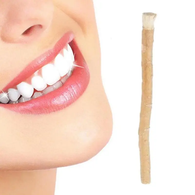 Miswak Toothbrush Traditional Natural Teeth Sticks Effective Miswak Breath Freshener From Middle East For Teeth Stain Cleaning