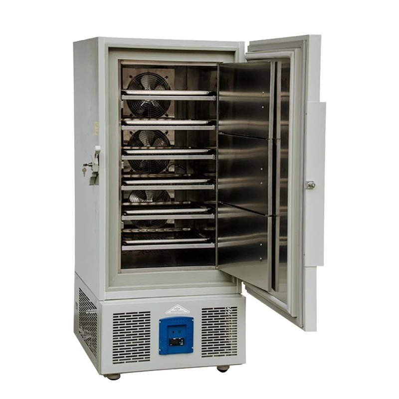 45 degrees ultra-low temperature deep freezer ice pack dumpling bun steamed bun food real freezer vertical refrigerator vendor