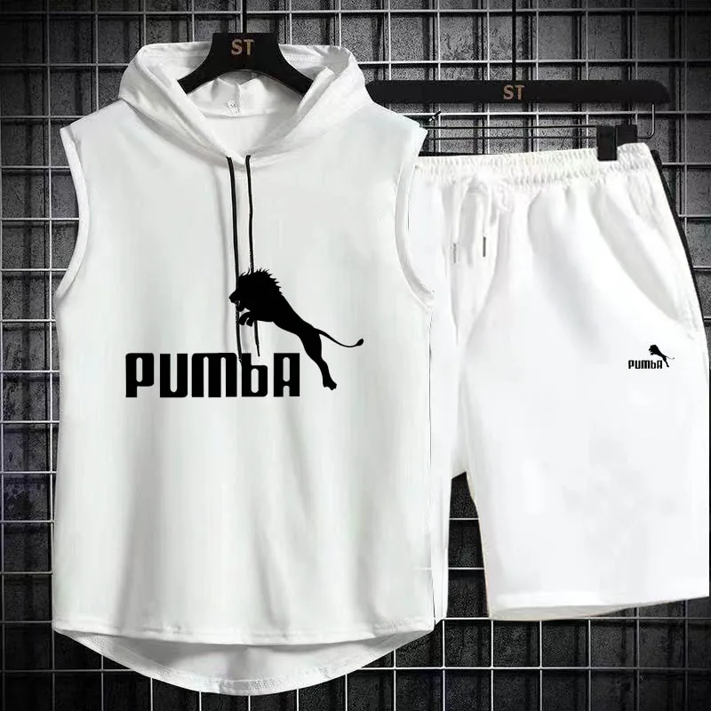 Brand  Summer Men's Two Piece Set CasualT-Shirt and Shorts Set Mens Sports Suit Fashion Short Sleeve Tracksuit Hooded T-shirt