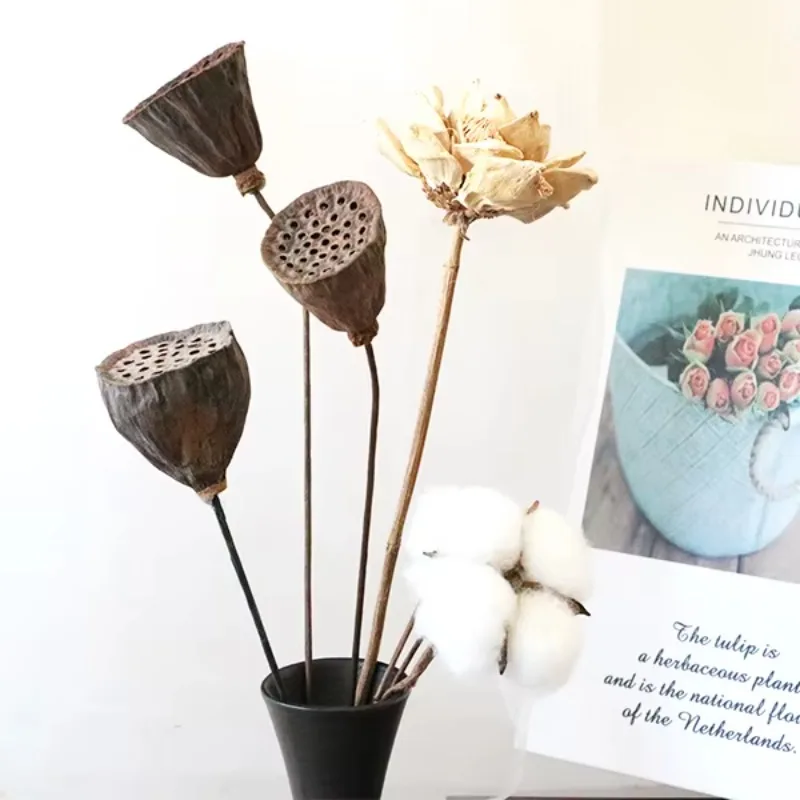 Wholesale home decoration graduate and Halloween dried flowers and plants, including pods and dried lotus pods