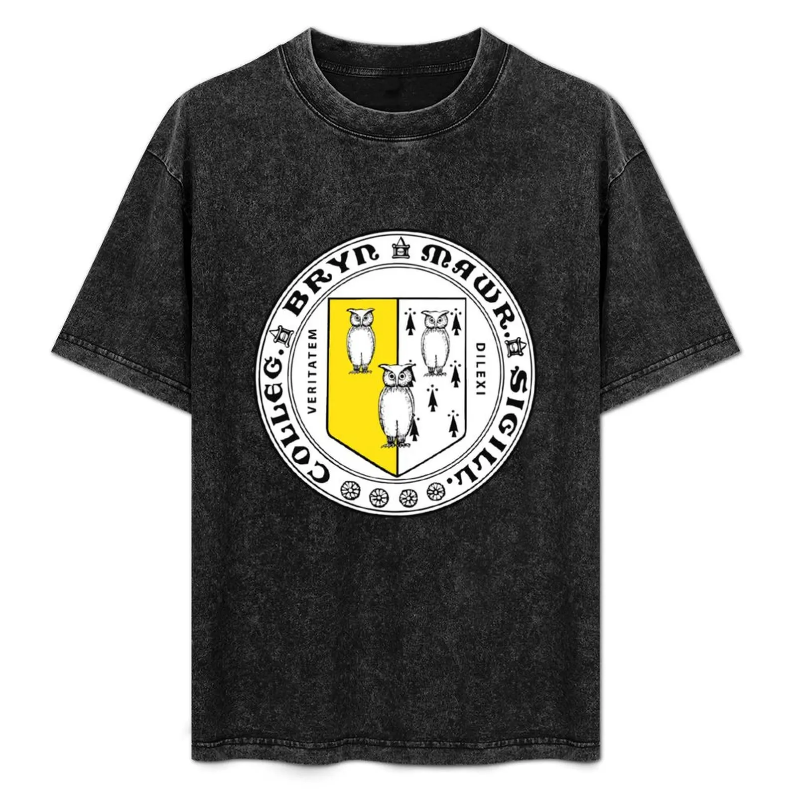 

Bryn Mawr College T-Shirt Street Art Print Tee Shirt