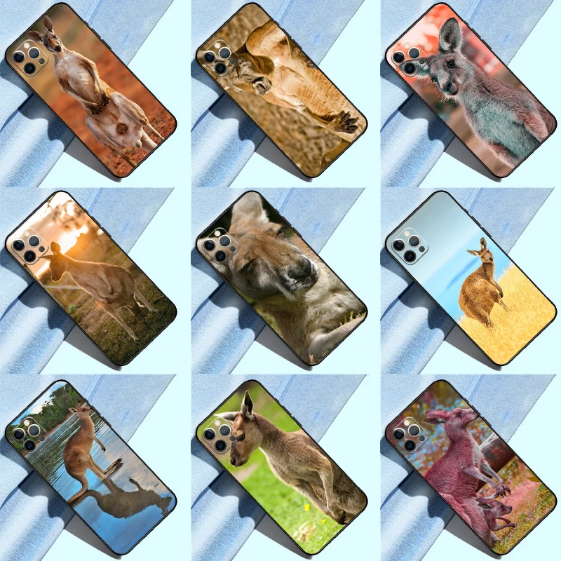 الحيوان الكنغر ل Realme 10 11 Pro Plus GT Neo 5 2T C55 C35 C33 C31 C21Y OnePlus Nord 3 CE 2 Lite Case