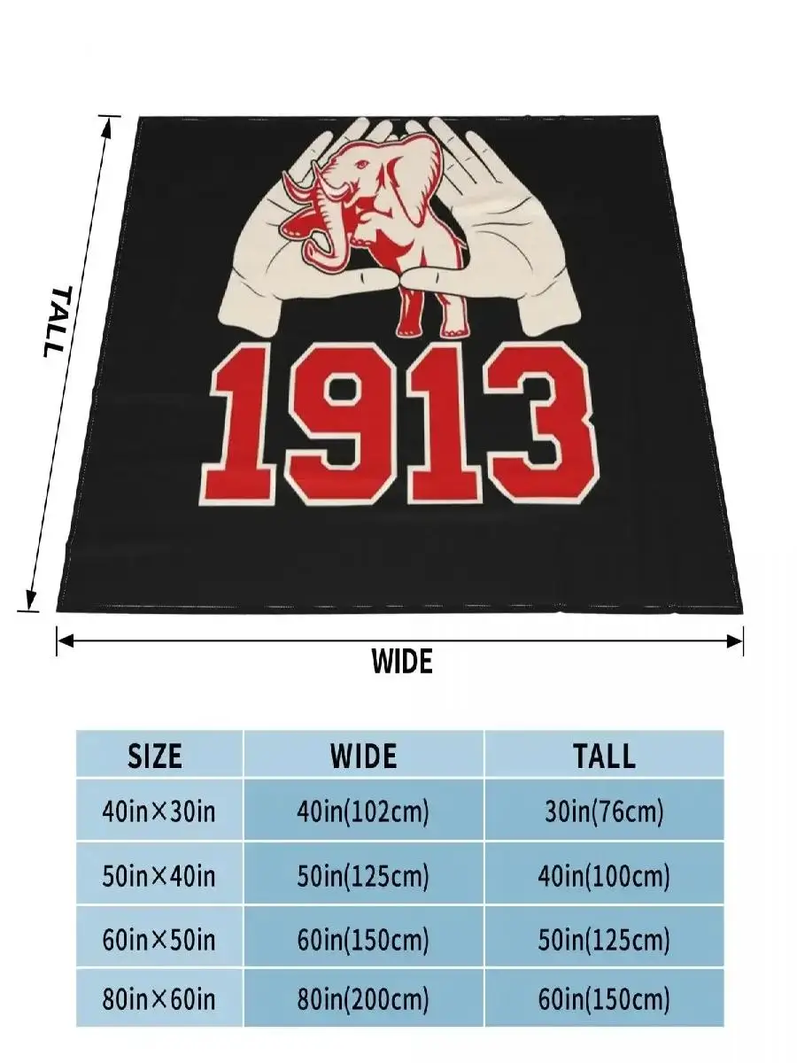 Delta  Sigma Theta Throw Blanket for Fans Dorm Room Essentials Perfect for Sofa or Bed Home Textiles