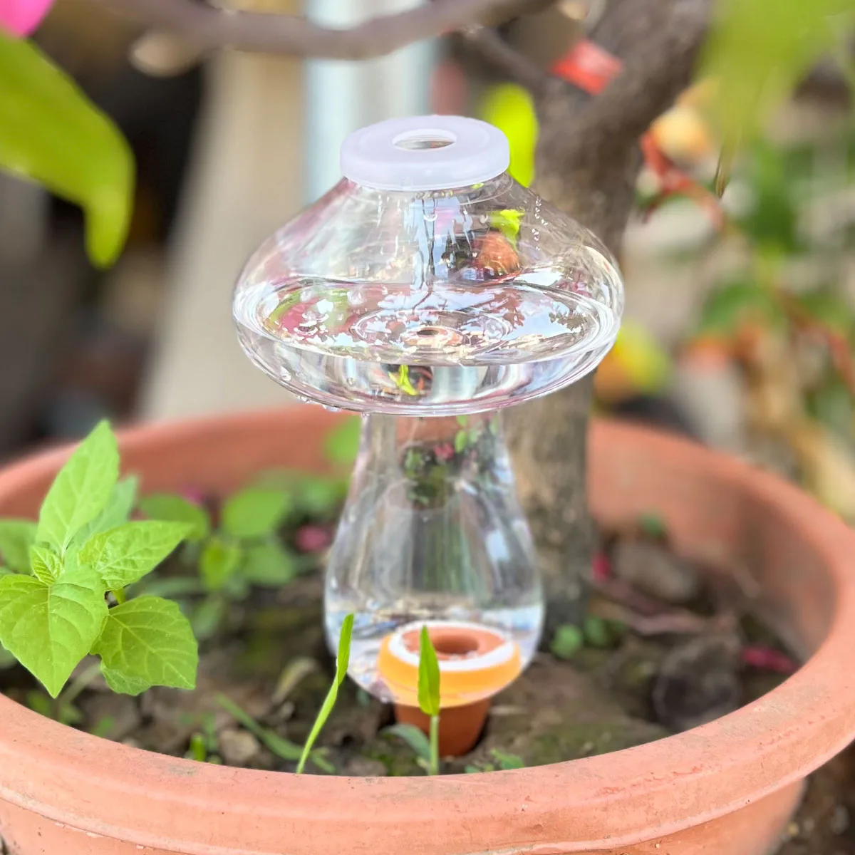 

Автоматическая система полива для растений (1 шт.) – устройство для автополива для дома и улицы, для отпуска, без участия хозяина