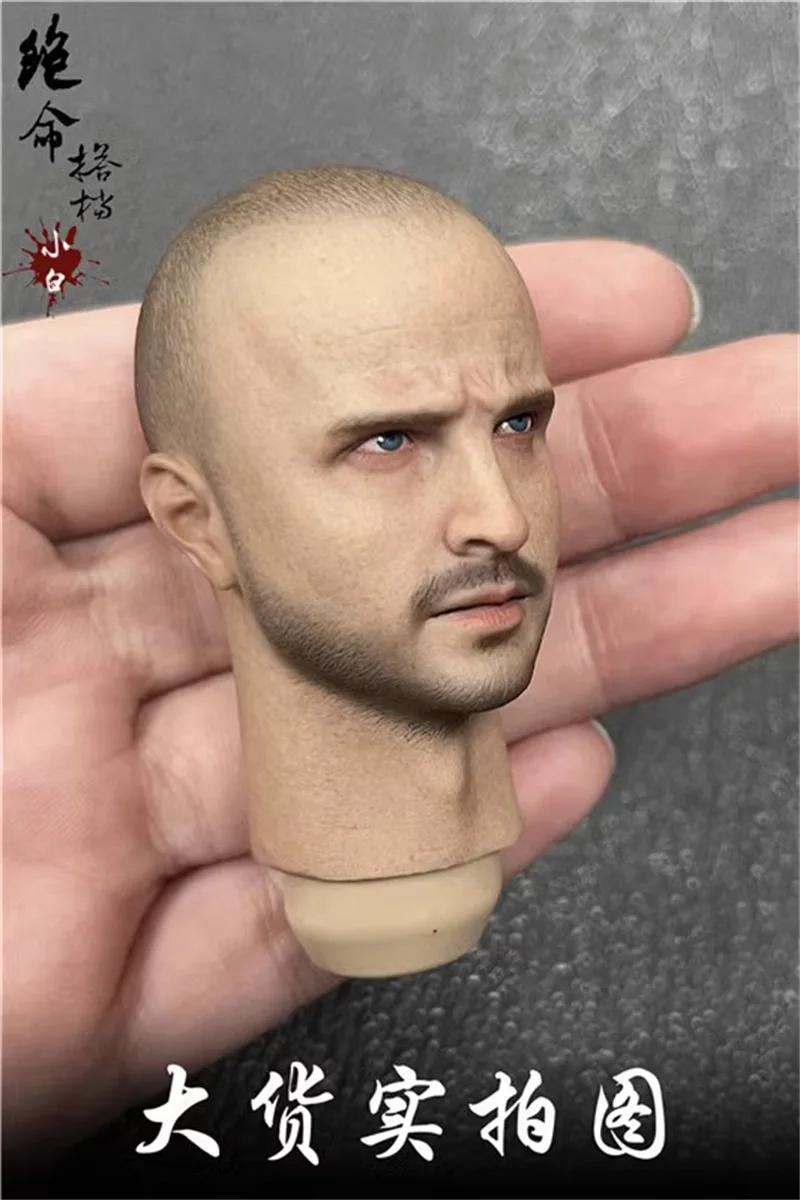 New Arrival 1/6 The Breaking Bad Series Aaron Paul Handsome Guy Male Head Sculpt Carving For 12